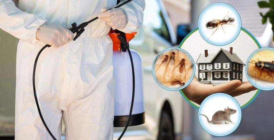 Yalvaç Böcek İlaçlama