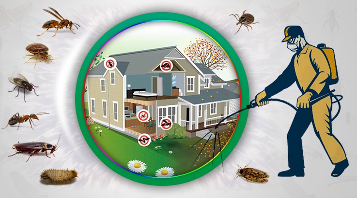 Yalvaç Böcek İlaçlama