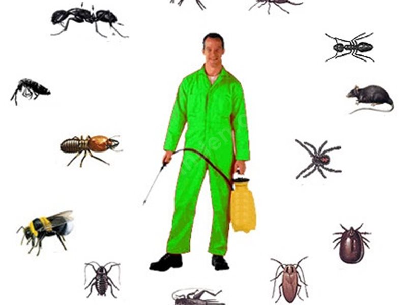 Yalvaç Böcek İlaçlama